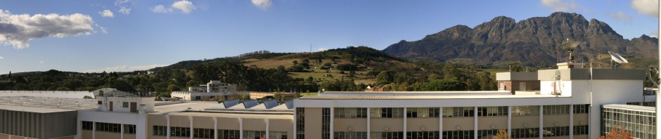 View from office window towards the North East.